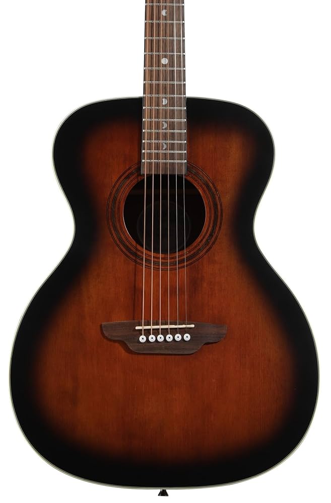 アート・デザイン・音楽 HAVANA Metropolis LTD Havana Burst HG EQ | Godin Guitars
